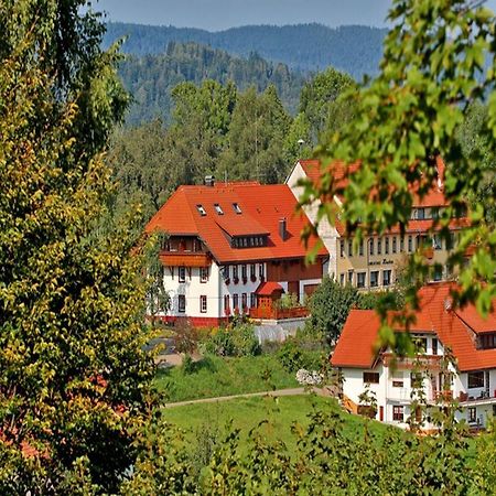 Apartamento Haus Schlageter Dachsberg im Schwarzwald Exterior foto