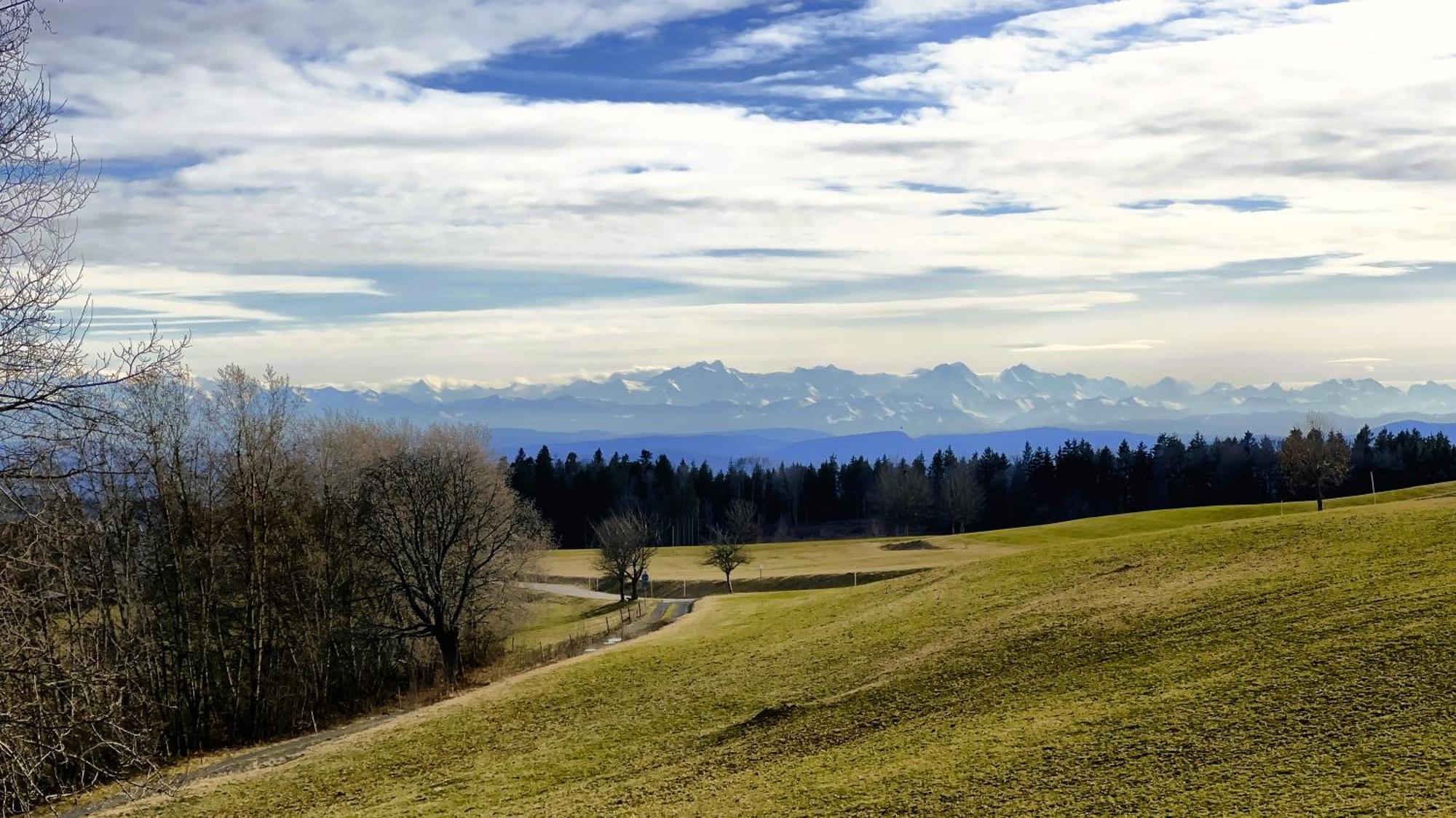 Apartamento Haus Schlageter Dachsberg im Schwarzwald Exterior foto